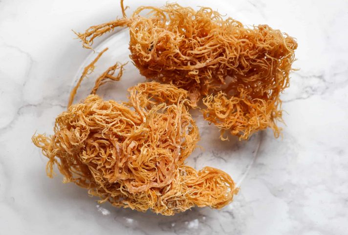 wildcrafted pure golden dried sea moss, ethically harvested and sundried. available in norway and the world