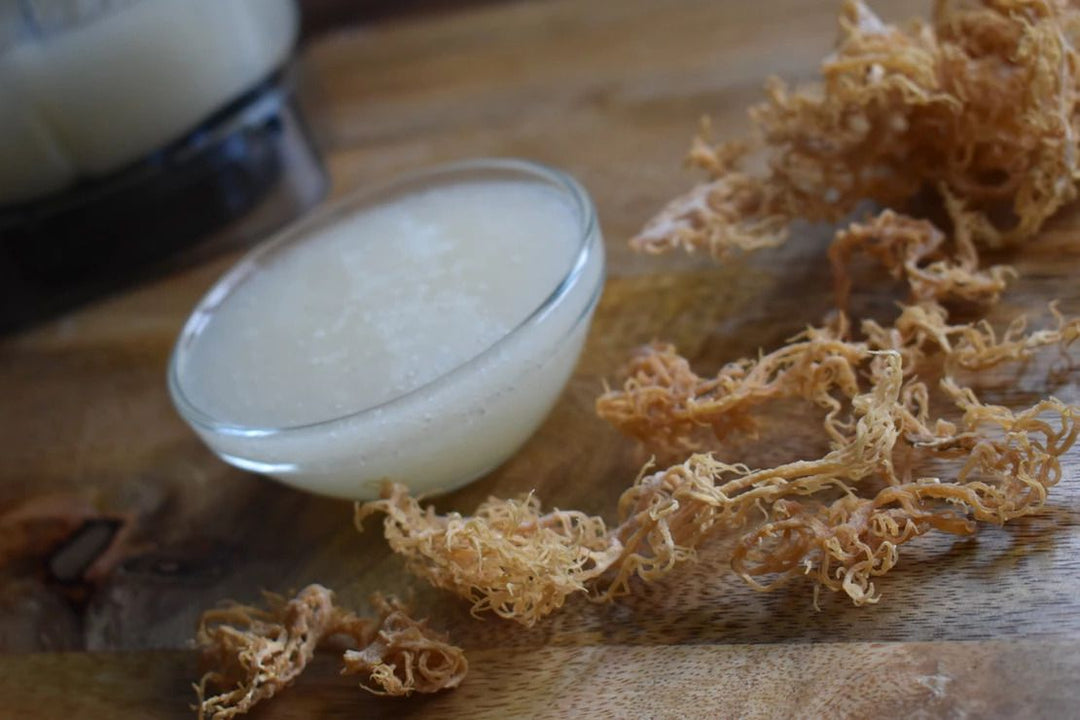 How To Make Sea Moss Gel