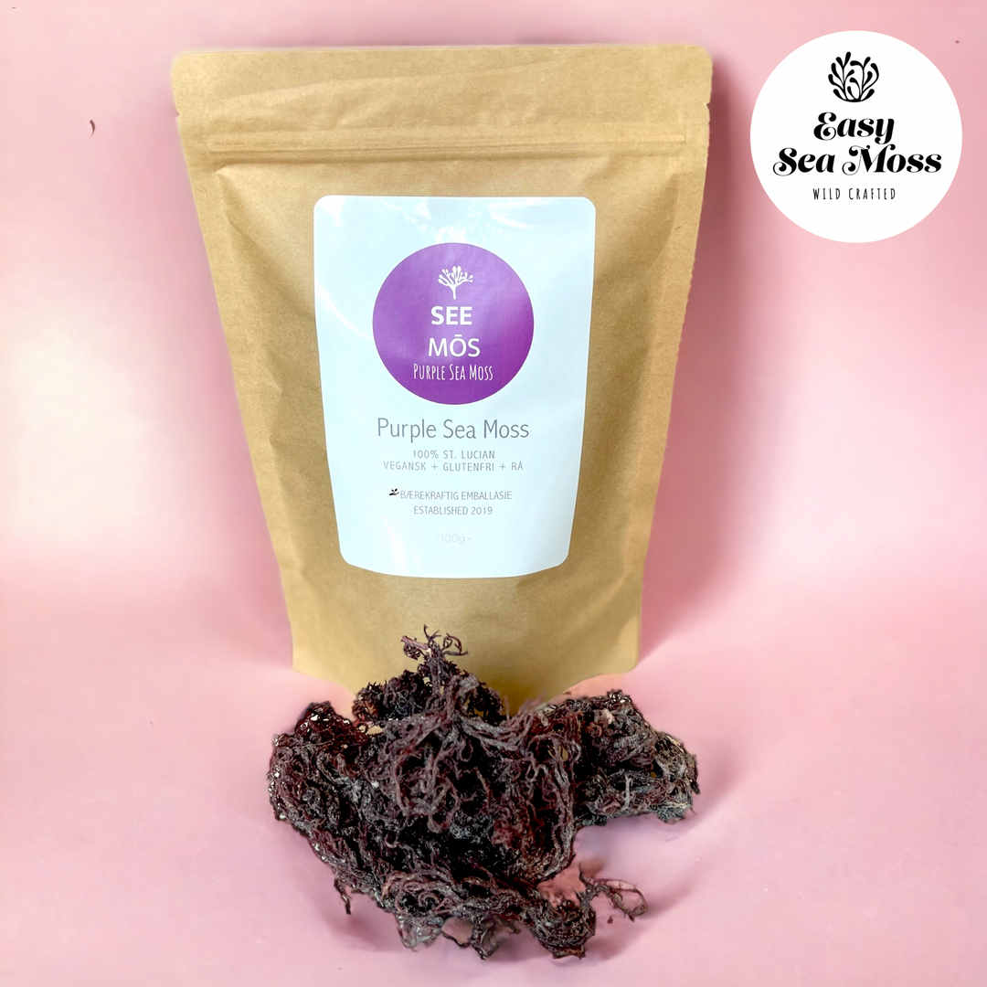 Dried Wildcrafted Purple Sea Moss 100 gr – Easy Sea Moss