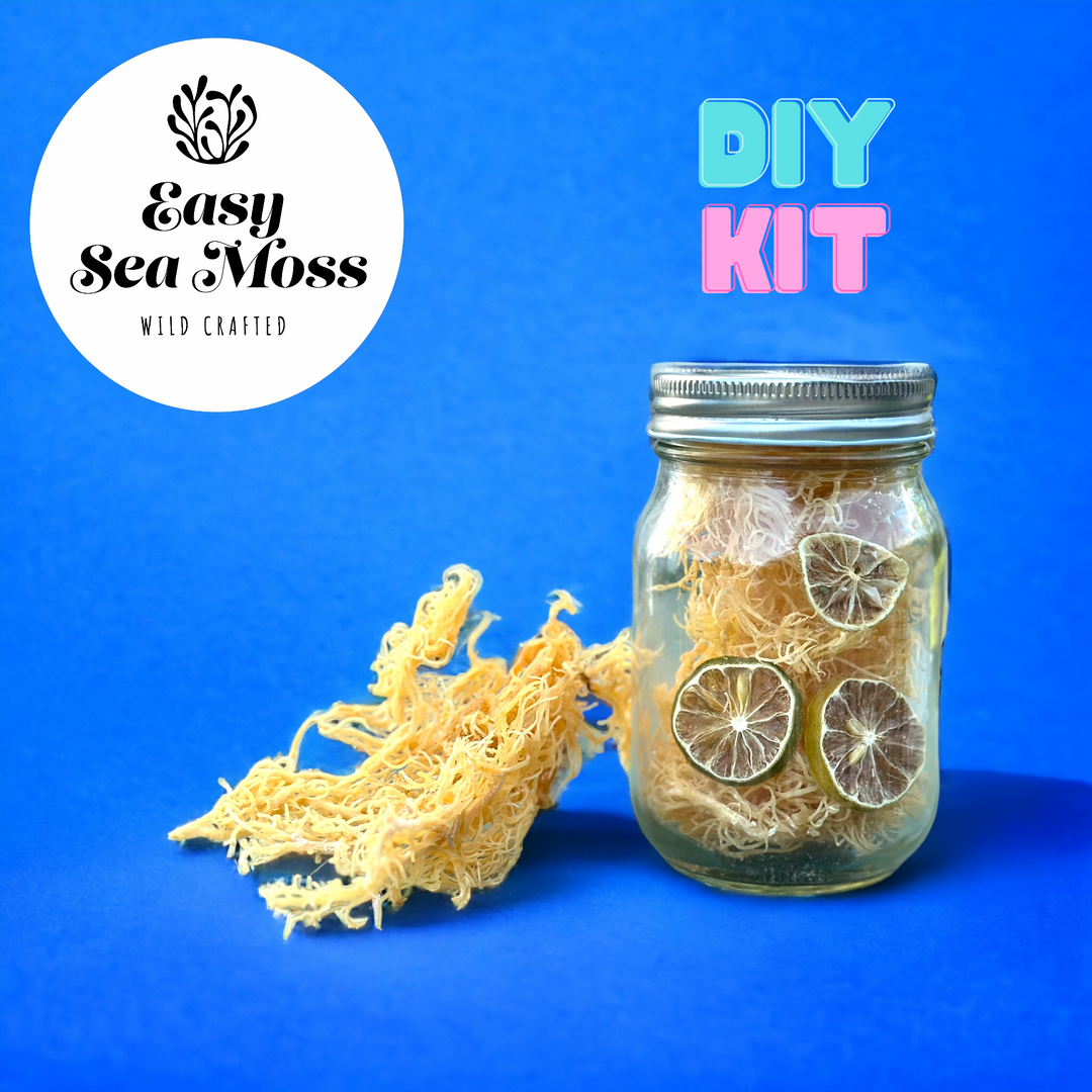 DIY SEA MOSS KIT